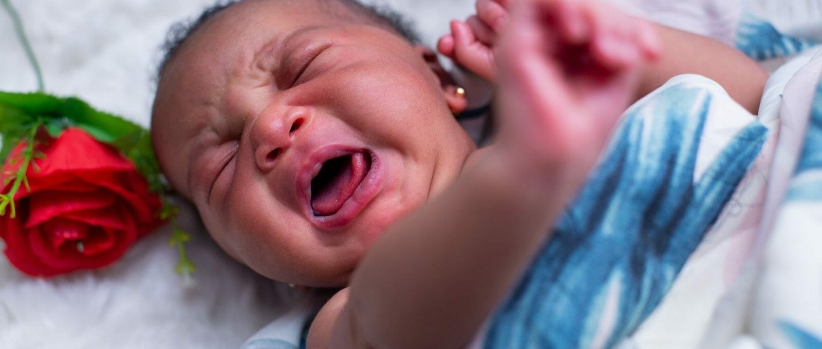 bebê chorando no berço coberto com uma manta fina e ao lado de uma rosa