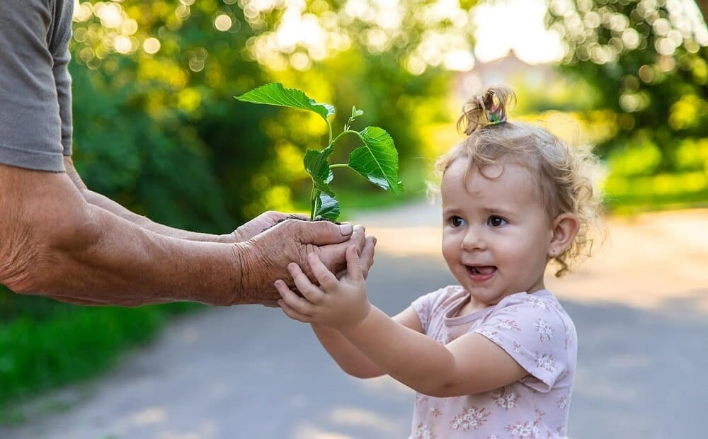menina plantando árvore e segurando mudinha junto com a avó