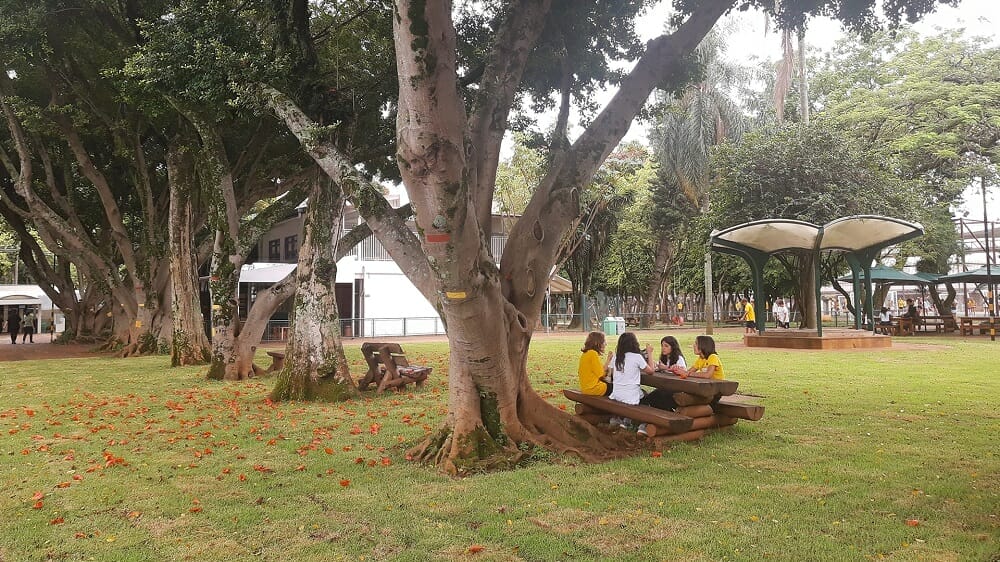 crianças conversando em área verde do colégio santa cruz